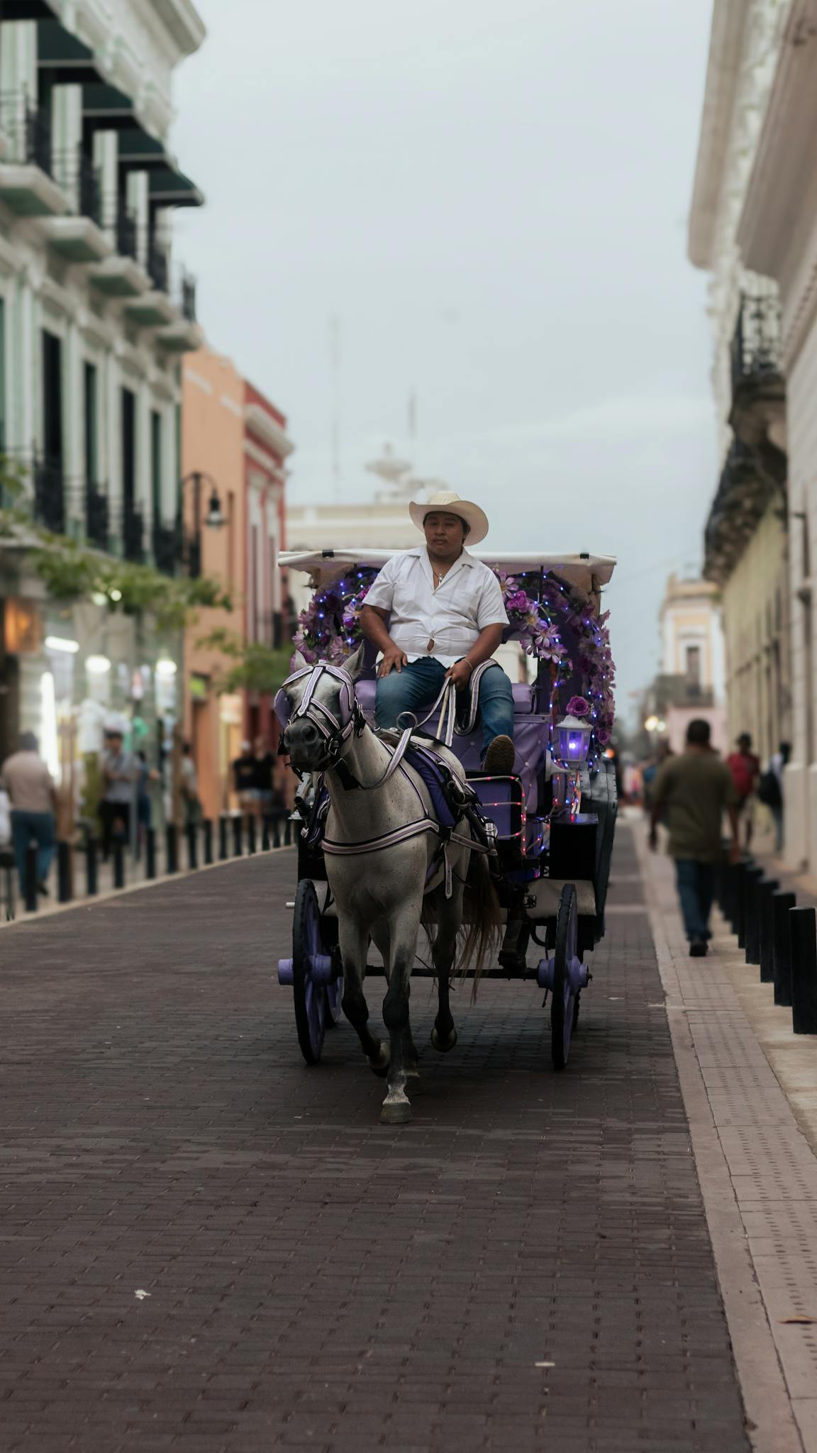 Traditional horse-drawn carriage ride through the historic streets of Mérida, Yucatán, México.